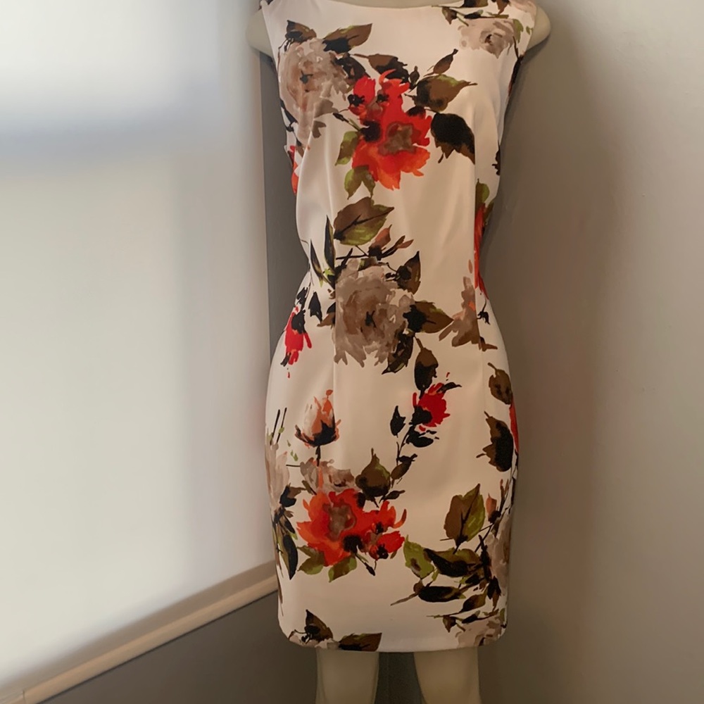 Women’s dress nwt